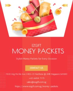 Stylish Money Packets for Every Occasion