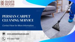 Persian Carpet Cleaning Service for Professional Washing and Rug Maintenance