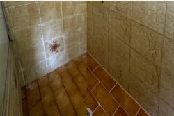 Tile Repairs Adelaide