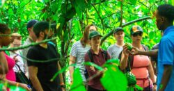 Top Things to Do on Spice Tour on Zanzibar Beach Trip