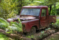 Trusted Scrap Car Buyers Offering Instant Cash and Free Removal Services Across Canberra