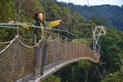 Best Places to Go for Rwanda Safaris Now