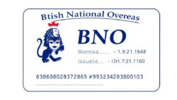 A Generational Opportunity: A Strategic Guide to Your Family’s BNO Visa Application