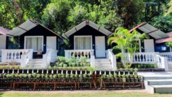 Riverside Luxury Cottages in Rishikesh – Peaceful Stay Near Ganga at Pebbles Resort