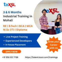 Best Industrial Training in Mohali | ToXSL Technologies