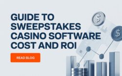 Guide to Sweepstakes Casino Software Cost and ROI