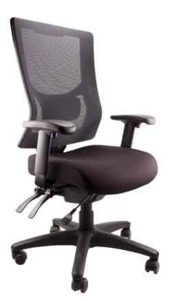 Madrid mash back chair with slide seat, Lumbar support