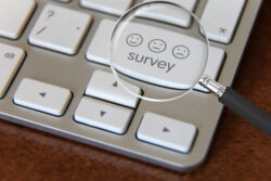 What Are SEO Consulting Services and Why Your Business Needs Them