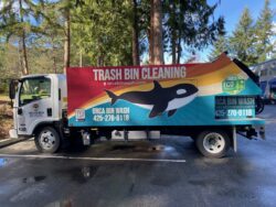 Garbage bin cleaning