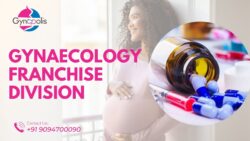 Gynaecology Franchise Division in Panchkula