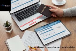 Hire Top Visa Processing Companies in Dubai Now
