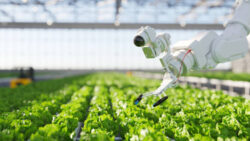 Why Digital Marketing Is Essential for Modern Farming