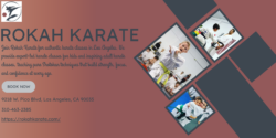 Get Started with MMA: Beginner-Friendly Classes Near You