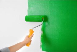 Painter Miranda