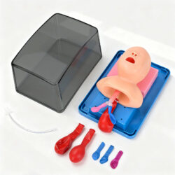 Ultrassist Infant Intubation Trainer | Tracheal Intubation Practice Manikin