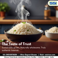 Basmati Rice | The Taste of Trust