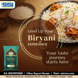 Level Up Your Biryani Experience with Long-Grain Perfection