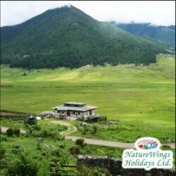 Bhutan Package Tour from Bangalore – Where Nature, Faith, and Balance Meet