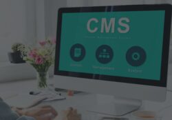 CMS development company In Dubai