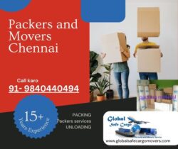 packers and movers in Mandaveli Chennai