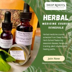 DeepRootHerbSchool Herbal Medicine Course Dates & Schedule