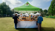 Explore Durable Commercial Marquees for Sale Suitable for Any Event