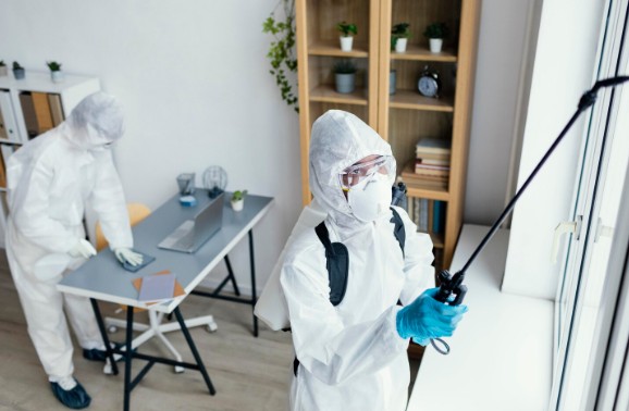 Pest Control Singapore For Trusted, Effective & Safe Solutions