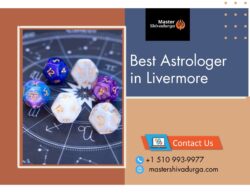 Best Astrologer in Fremont | Accurate Astrology by Master Shiva Durga