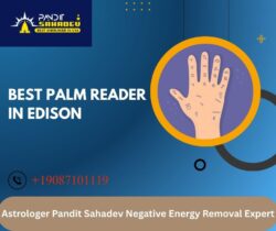 Best Astrologer in New Jersey | Astrologer Pandit Sahadev
