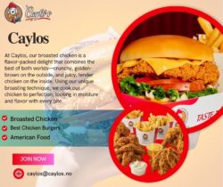 Caylos Franchisor – Leading the Way in American Fast Food Excellence”