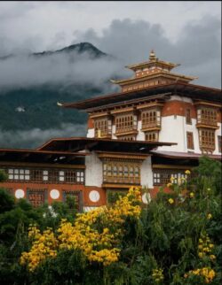 Bhutan Package Tour from Delhi with Paro, Thimphu & Punakha Sightseeing