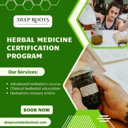 Deep Roots Herb School Herbal Medicine Training Program for Advanced Makers