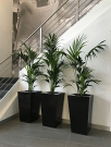 Premium Event Plant Hire for Stunning Occasions