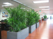 How Plant Hire Services Melbourne Save Time and Cost
