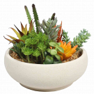 Bring Timeless Beauty to Your Space with Artificial Floral Arrangements in Melbourne