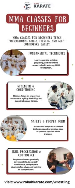 Mma Classes for Beginners​ | Rokah Karate