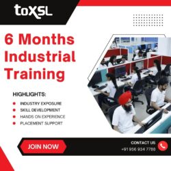 Advance Your Career with 6 Months Industrial Training in Mohali at ToXSL Technologies