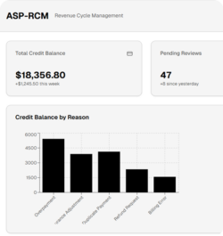 Credit Balance Services