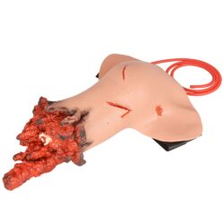 Advanced Arm Amputation Trauma Trainer for Hemorrhage Control