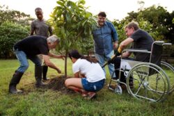 Keep Outdoor Spaces Beautiful with NDIS Gardening in Brisbane South