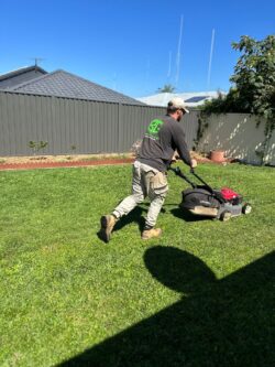 Lawn Mowing Brisbane
