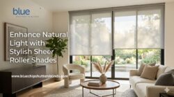 Enhance Natural Light with Stylish Sheer Roller Shades