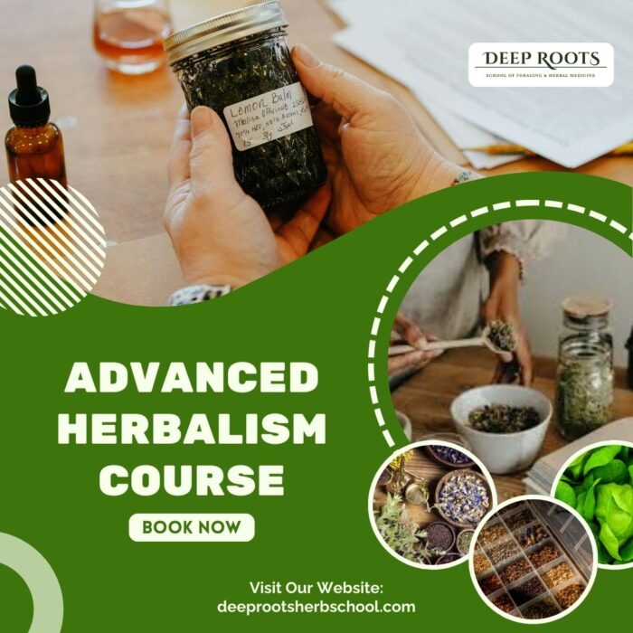 Advanced Herbalism Course Online | Deep Roots Herb School