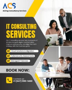 Transform Your Business with Expert IT Consulting!