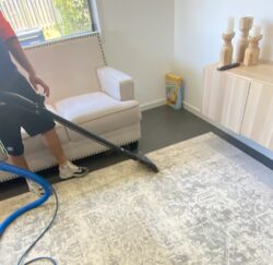 Carpet Cleaning in Brisbane