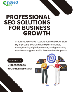 Professional SEO Solutions for Business Growth