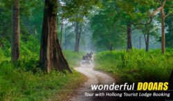 Dooars Tour Package from Siliguri – Experience Elephant Safari and Jungle Adventure