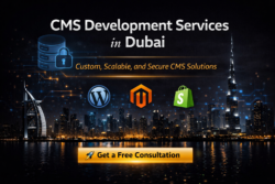 CMS Development Services in Dubai