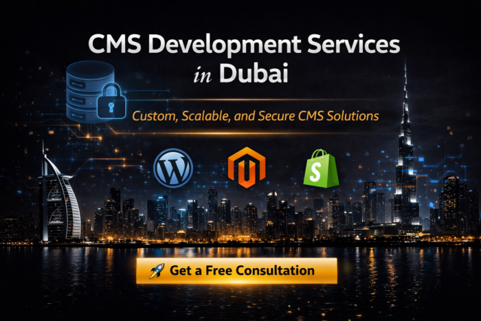 CMS Development Services in Dubai