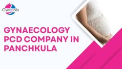 Gynaecology PCD Company in Panchkula